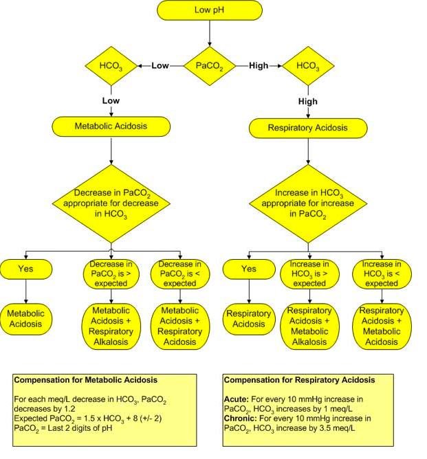 Acidosis algorithm — Medlibes Online Medical Library